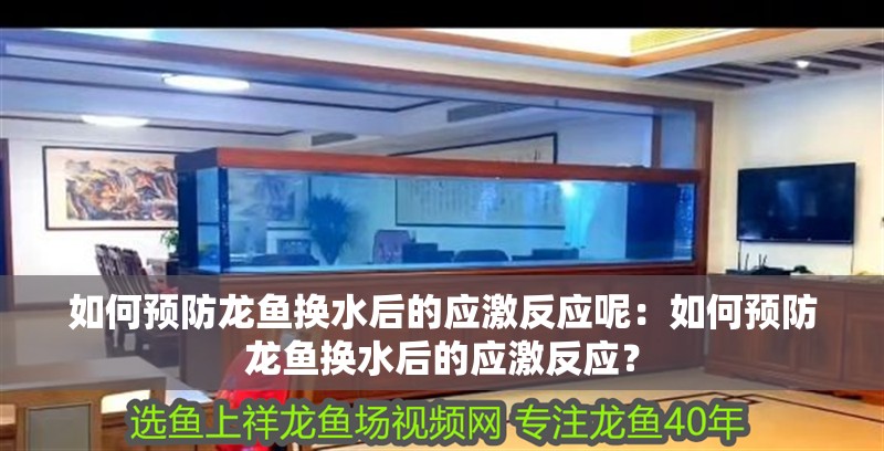 如何預防龍魚換水后的應激反應呢：如何預防龍魚換水后的應激反應？