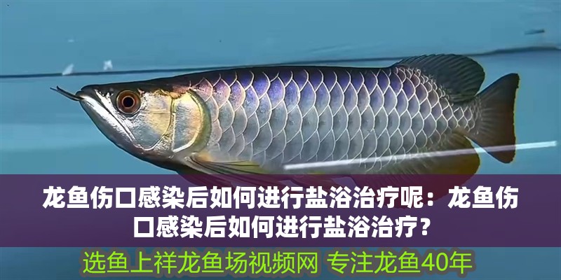 龍魚傷口感染后如何進行鹽浴治療呢：龍魚傷口感染后如何進行鹽浴治療？
