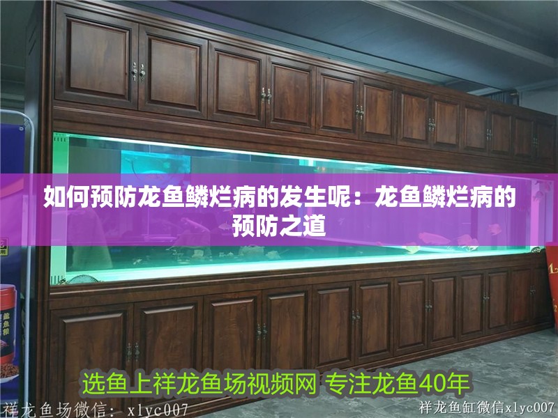 如何預防龍魚鱗爛病的發(fā)生呢：龍魚鱗爛病的預防之道