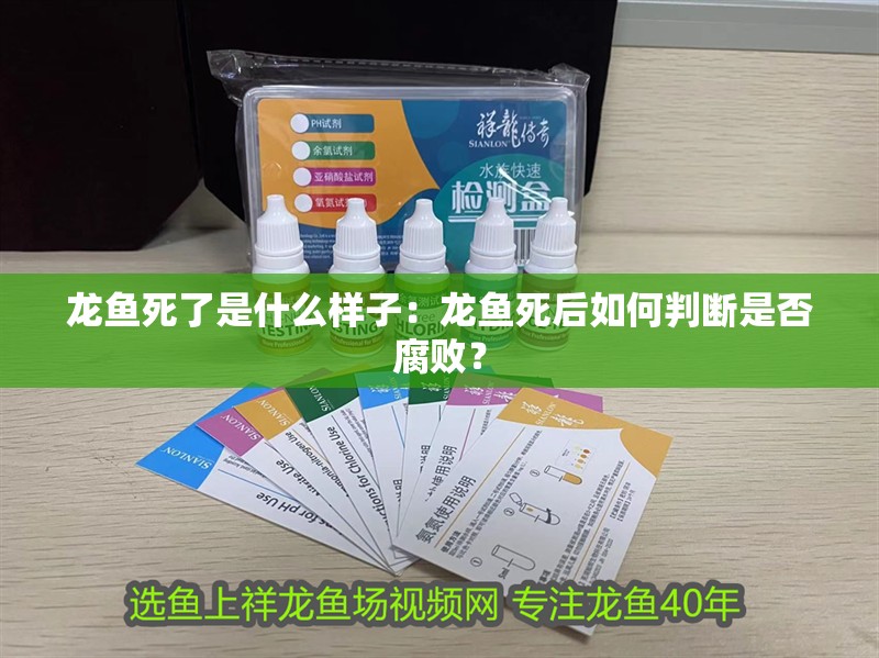 龍魚死了是什么樣子：龍魚死后如何判斷是否腐敗？