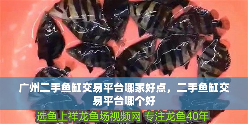 廣州二手魚缸交易平臺哪家好點，二手魚缸交易平臺哪個好