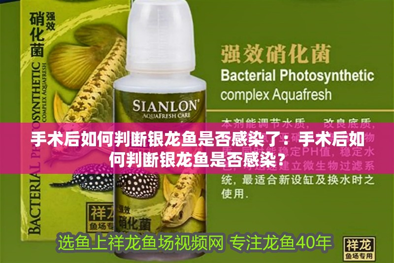 手術(shù)后如何判斷銀龍魚是否感染了：手術(shù)后如何判斷銀龍魚是否感染？