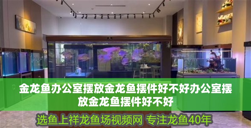 金龍魚辦公室擺放金龍魚擺件好不好辦公室擺放金龍魚擺件好不好 金龍魚辦公室擺放金龍魚擺件好不好辦公室擺放金龍魚擺件好不好 觀賞魚百科