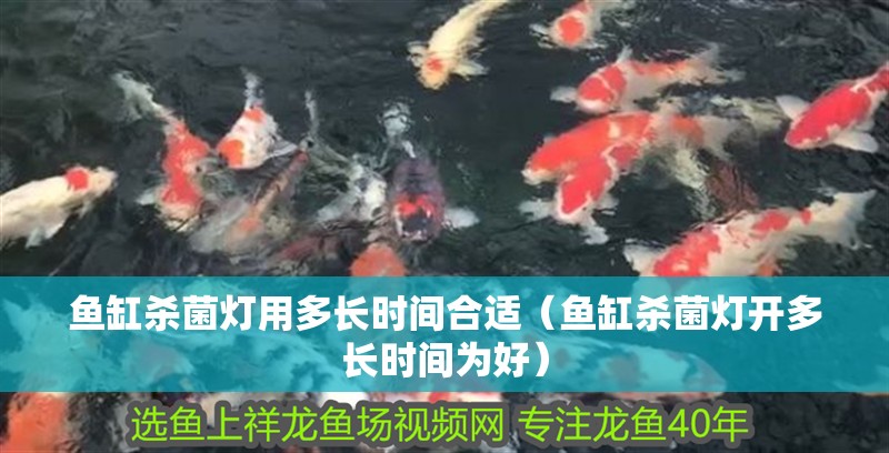 魚缸殺菌燈用多長(zhǎng)時(shí)間合適（魚缸殺菌燈開多長(zhǎng)時(shí)間為好）