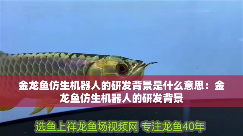 金龍魚仿生機器人的研發背景是什么意思：金龍魚仿生機器人的研發背景