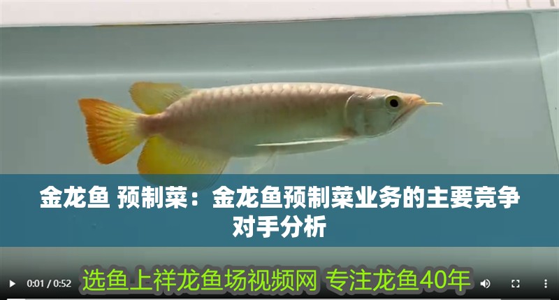 金龍魚 預制菜：金龍魚預制菜業務的主要競爭對手分析