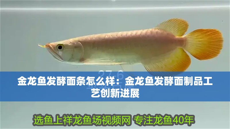 金龍魚發酵面條怎么樣：金龍魚發酵面制品工藝創新進展