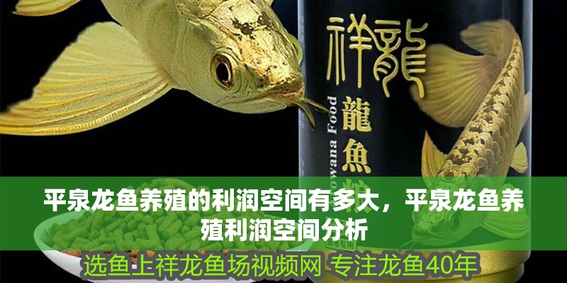 平泉龍魚養(yǎng)殖的利潤空間有多大，平泉龍魚養(yǎng)殖利潤空間分析