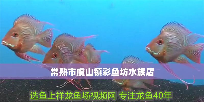 常熟市虞山鎮彩魚坊水族店 常熟市虞山鎮彩魚坊水族店 全國水族館企業名錄 第1張
