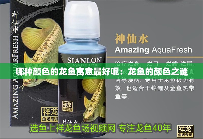 哪種顏色的龍魚(yú)寓意最好呢：龍魚(yú)的顏色之謎
