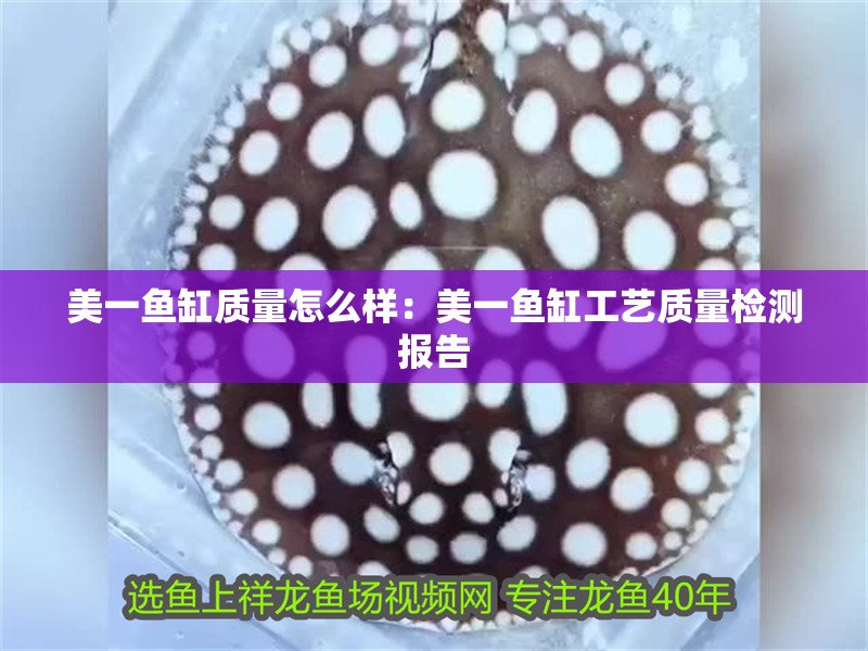 美一魚缸質(zhì)量怎么樣：美一魚缸工藝質(zhì)量檢測報(bào)告