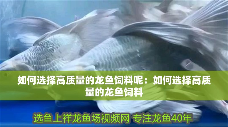 如何選擇高質量的龍魚飼料呢：如何選擇高質量的龍魚飼料