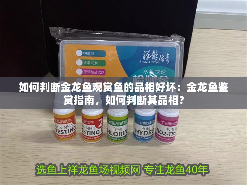 如何判斷金龍魚觀賞魚的品相好壞：金龍魚鑒賞指南，如何判斷其品相？