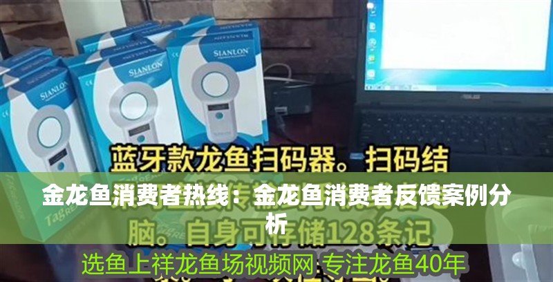 金龍魚消費者熱線：金龍魚消費者反饋案例分析