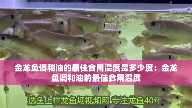 金龍魚調(diào)和油的最佳食用溫度是多少度：金龍魚調(diào)和油的最佳食用溫度