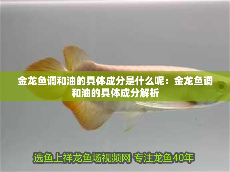 金龍魚調(diào)和油的具體成分是什么呢：金龍魚調(diào)和油的具體成分解析