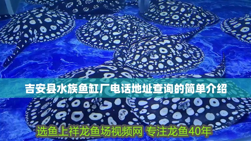 吉安縣水族魚缸廠電話地址查詢的簡單介紹