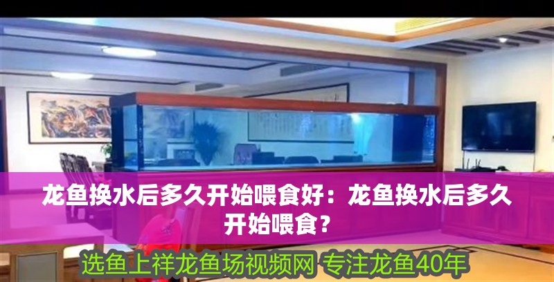 龍魚換水后多久開始喂食好：龍魚換水后多久開始喂食？