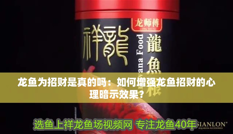 龍魚為招財是真的嗎：如何增強龍魚招財的心理暗示效果？