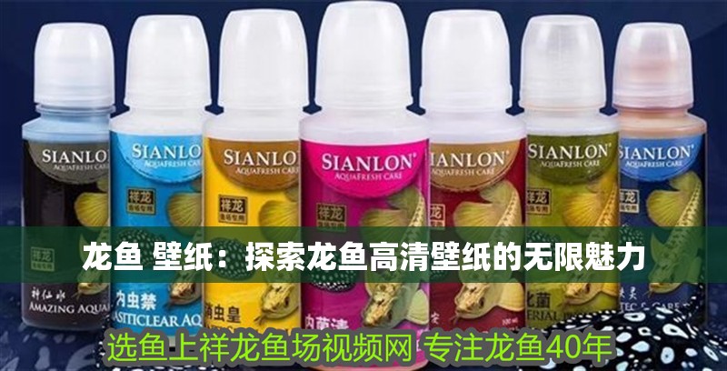 龍魚 壁紙：探索龍魚高清壁紙的無限魅力 龍魚 壁紙：探索龍魚高清壁紙的無限魅力 水族問答