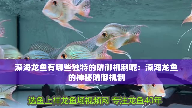 深海龍魚有哪些獨特的防御機制呢：深海龍魚的神秘防御機制