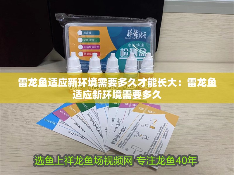 雷龍魚適應新環(huán)境需要多久才能長大：雷龍魚適應新環(huán)境需要多久