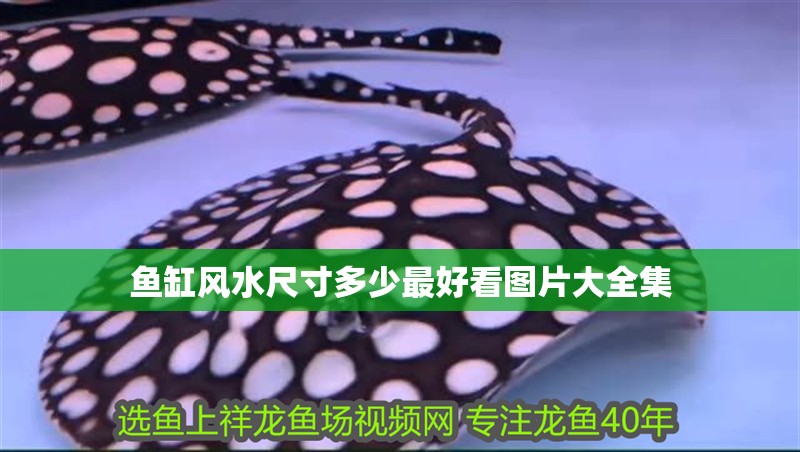 魚缸風水尺寸多少最好看圖片大全集