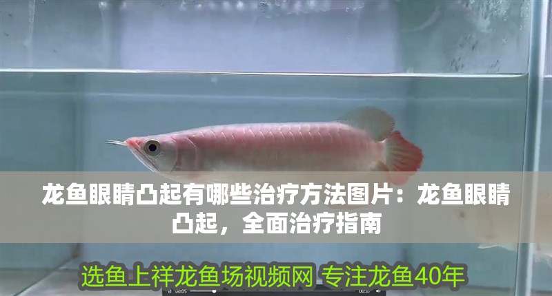 龍魚眼睛凸起有哪些治療方法圖片：龍魚眼睛凸起，全面治療指南 龍魚眼睛凸起有哪些治療方法圖片：龍魚眼睛凸起，全面治療指南 水族問答