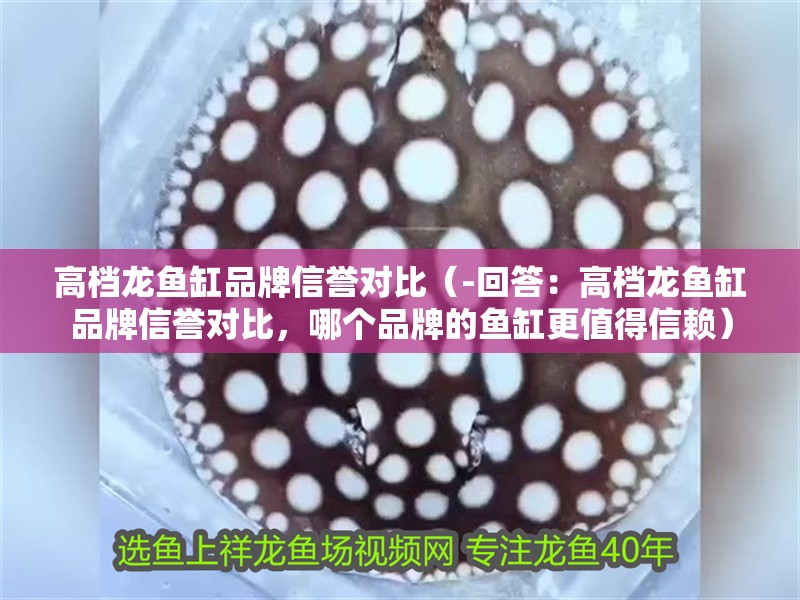 高檔龍魚缸品牌信譽對比（-回答：高檔龍魚缸品牌信譽對比，哪個品牌的魚缸更值得信賴）