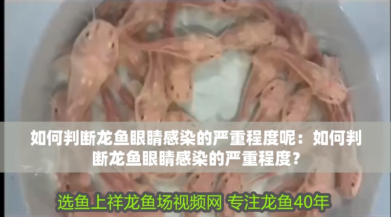 如何判斷龍魚眼睛感染的嚴(yán)重程度呢：如何判斷龍魚眼睛感染的嚴(yán)重程度？