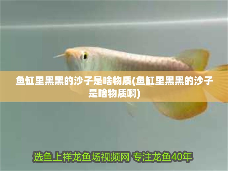 魚缸里黑黑的沙子是啥物質(zhì)(魚缸里黑黑的沙子是啥物質(zhì)啊)