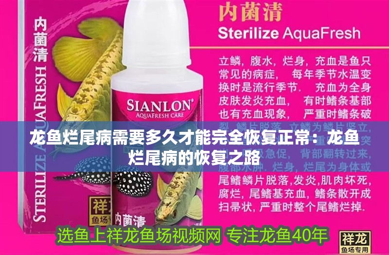 龍魚(yú)爛尾病需要多久才能完全恢復(fù)正常：龍魚(yú)爛尾病的恢復(fù)之路