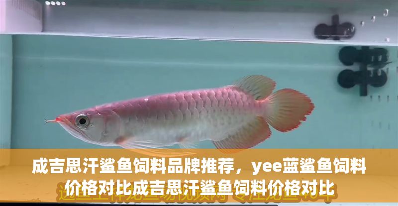 成吉思汗鯊魚飼料品牌推薦，yee藍鯊魚飼料價格對比成吉思汗鯊魚飼料價格對比
