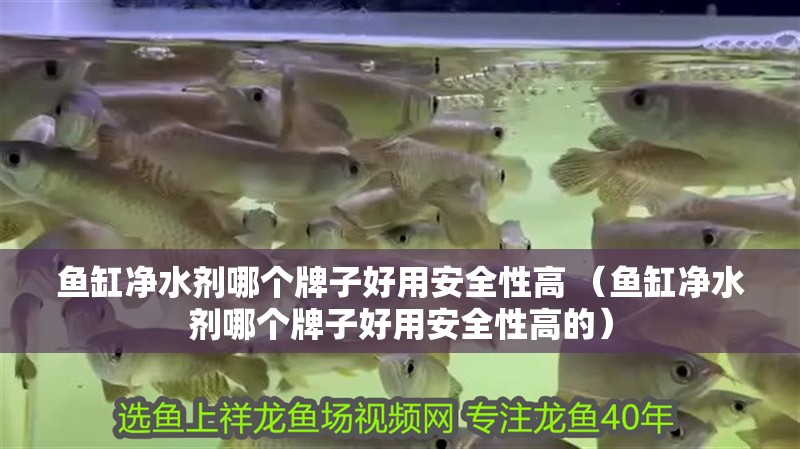魚缸凈水劑哪個牌子好用安全性高 （魚缸凈水劑哪個牌子好用安全性高的）
