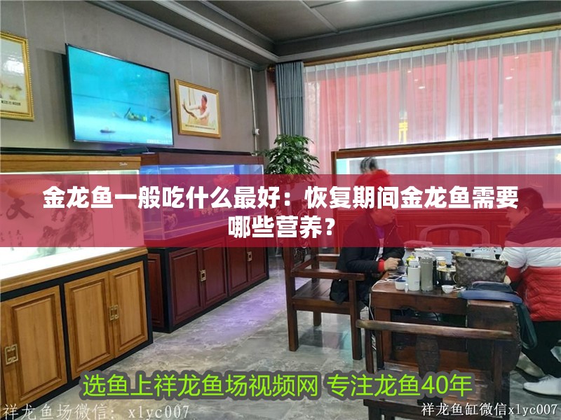 金龍魚一般吃什么最好：恢復期間金龍魚需要哪些營養？