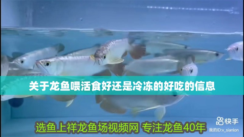 關于龍魚喂活食好還是冷凍的好吃的信息