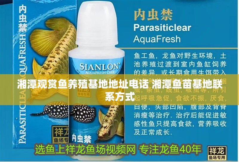 湘潭觀賞魚養殖基地地址電話 湘潭魚苗基地聯系方式