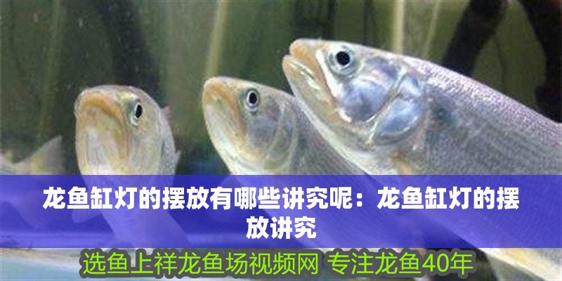 龍魚缸燈的擺放有哪些講究呢：龍魚缸燈的擺放講究
