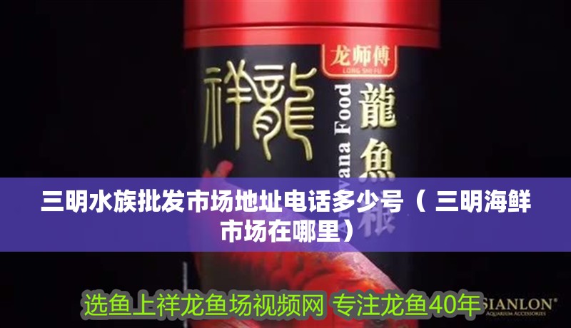 三<strong><mark>明水</mark></strong>族批發(fā)市場(chǎng)地址電話多少號(hào)（ 三明海鮮市場(chǎng)在哪里）