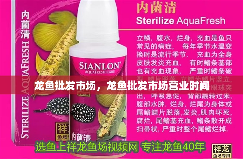龍魚批發(fā)市場，龍魚批發(fā)市場營業(yè)時間