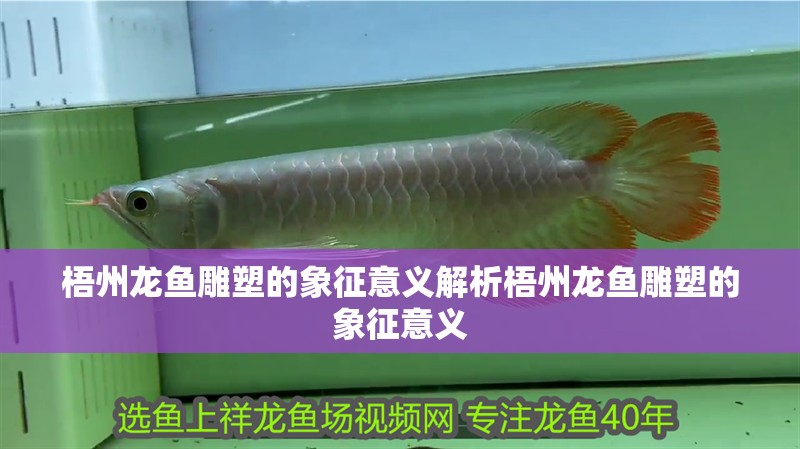 <strong><mark>梧州</mark></strong>龍魚雕塑的象征意義解析<strong><mark>梧州</mark></strong>龍魚雕塑的象征意義