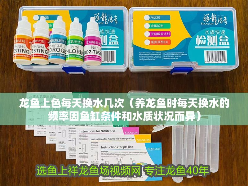 龍魚上色每天換水幾次（養龍魚時每天換水的頻率因魚缸條件和水質狀況而異）