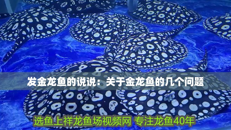 龍魚干蝦有營養(yǎng)嗎 發(fā)金龍魚的說說:關(guān)于金龍魚的幾個(gè)問題 觀賞魚百科 發(fā)金龍魚的說說:關(guān)于金龍魚的幾個(gè)問題 發(fā)金龍魚的說說:關(guān)于金龍魚的幾個(gè)問題 觀賞魚百科