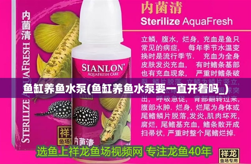 魚缸養(yǎng)魚水泵(魚缸養(yǎng)魚水泵要一直開著嗎_) 魚缸養(yǎng)魚水泵(魚缸養(yǎng)魚水泵要一直開著嗎_) 觀賞魚百科