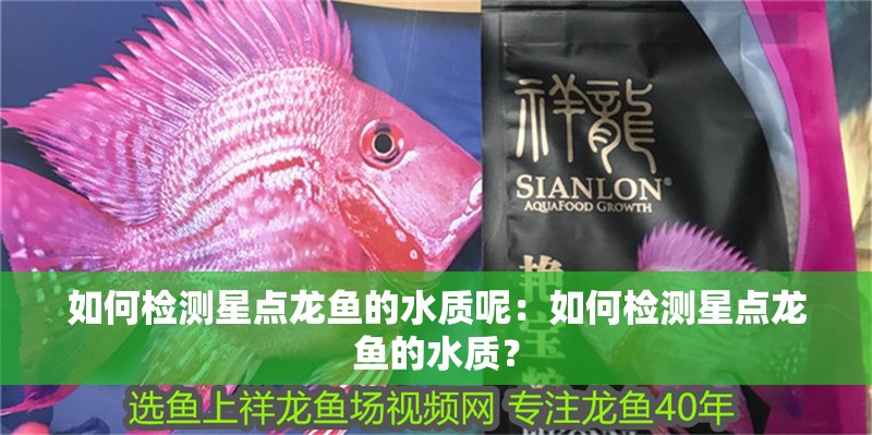 如何檢測星點龍魚的水質(zhì)呢：如何檢測星點龍魚的水質(zhì)？