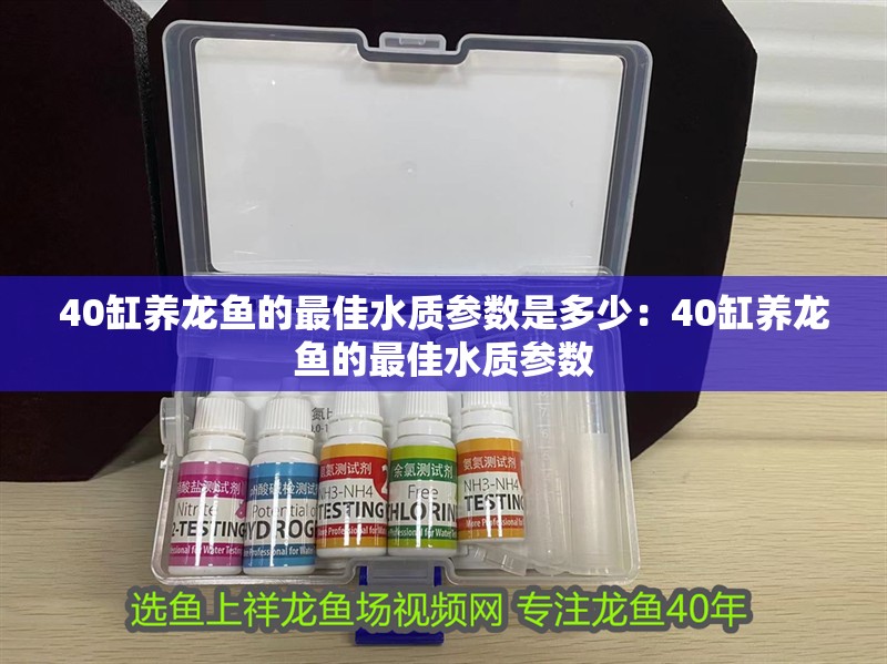 40缸養(yǎng)龍魚的最佳水質參數是多少：40缸養(yǎng)龍魚的最佳水質參數