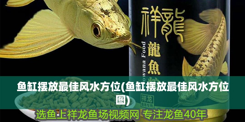 魚缸擺放最佳風水方位(魚缸擺放最佳風水方位圖)