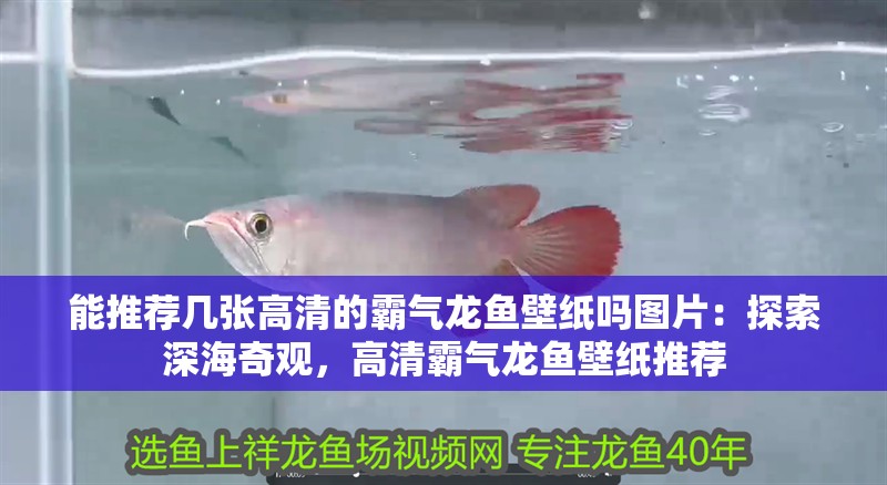 能推薦幾張高清的霸氣龍魚壁紙嗎圖片：探索深海奇觀，高清霸氣龍魚壁紙推薦