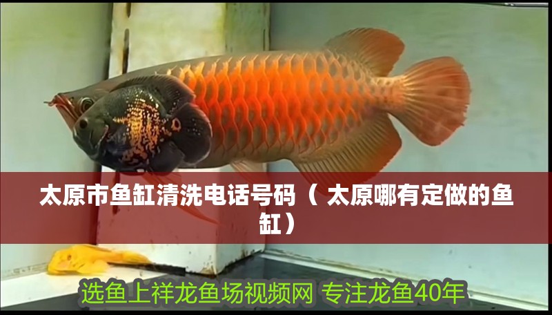 太原市魚缸清洗電話號碼（ 太原哪有定做的魚缸）