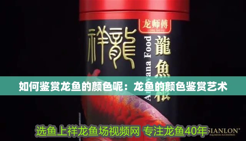 如何鑒賞龍魚的顏色呢：龍魚的顏色鑒賞藝術
